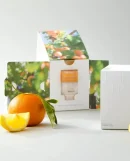 Puresome Mini Vita Filter Time of Fruit 4EA